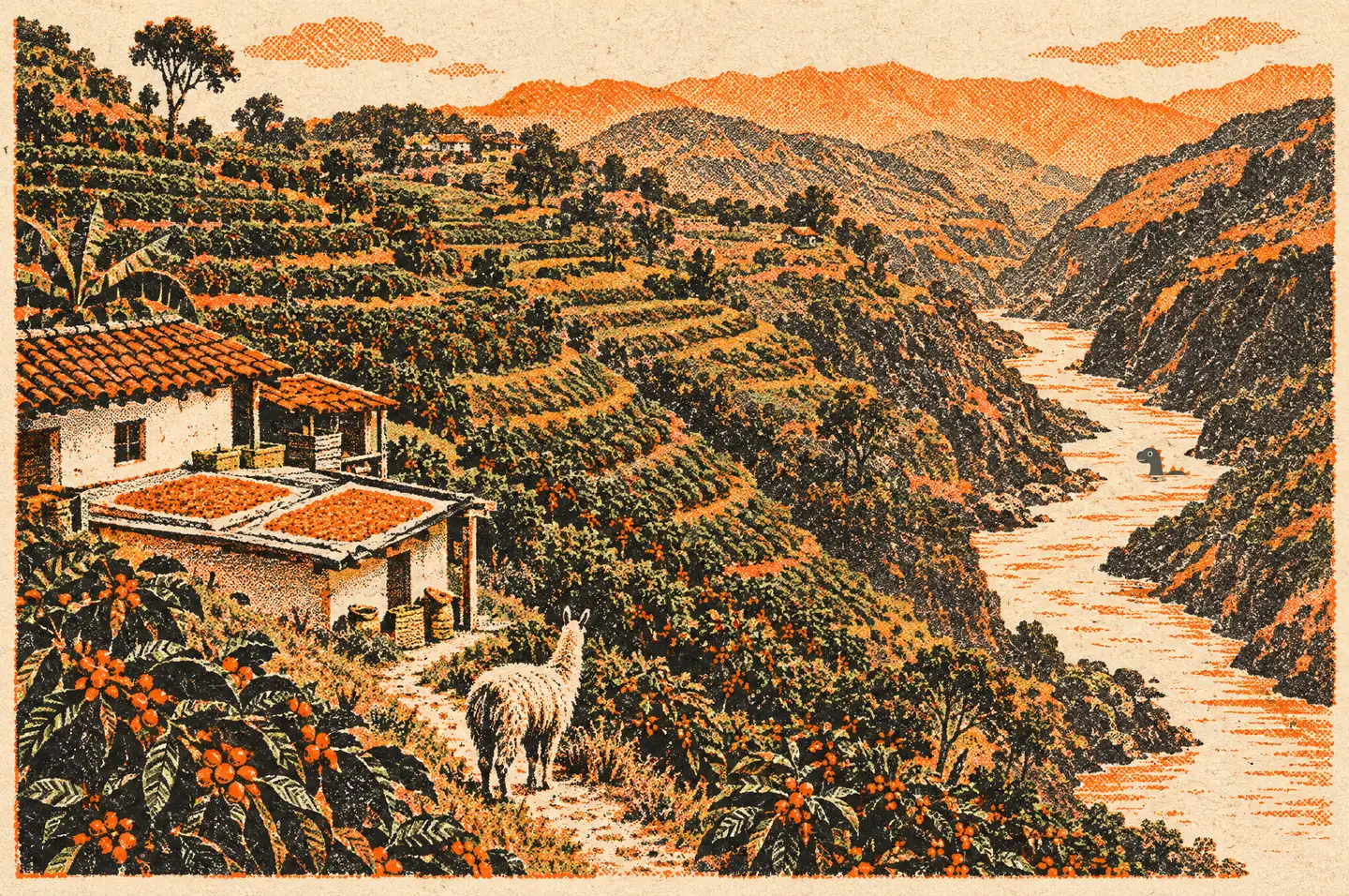 Risograph illustration of the Cajamarca, Jaén coffee country in Peru, in Shell Shock colours